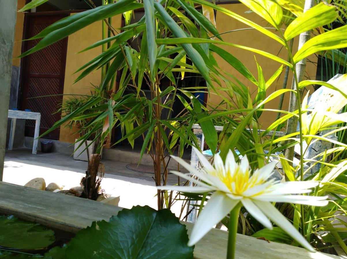 Cycling Backpacker Hostel & Cafe Unawatuna Exterior photo